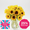 British Sunflowers - 25% Extra Free